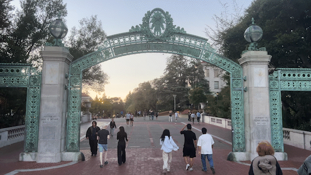 Describe the animation